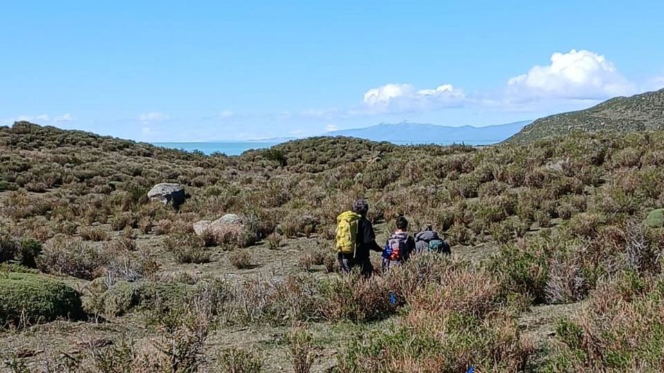 Navegación Por El Lago Viedma foto 12