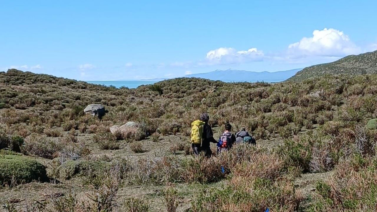 Navegación Por El Lago Viedma (11)